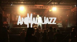 Animal ДжаZ 15.06.2016. Акустика