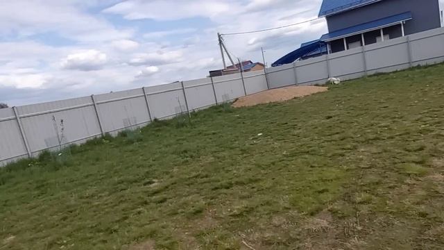 Везу лаек по магазинам смотреть онлайн