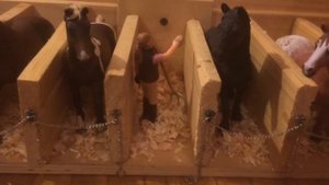 FriezeStudio || Полный обзор на конюшню ЧКСК «Мечта»