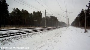Электропоезд "Ласточка" и скоростной поезд "Стриж".