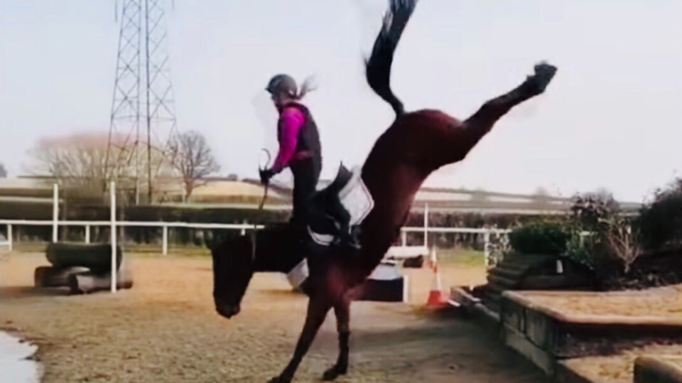 ПРИКОЛЫ С ЛОШАДЬМИ-РЖУ!!!FUNNY HORSES-СМЕШНЫЕ ЛОШАДИ-JOKES WITH HORSES/Cute moments of the horses