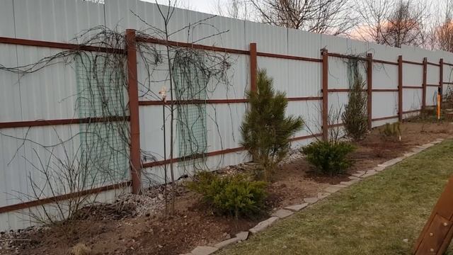 Создание ХВОЙНОЙ КОМПОЗИЦИИ: ПЕРЕДЕЛКИ в саду. смотреть онлайн