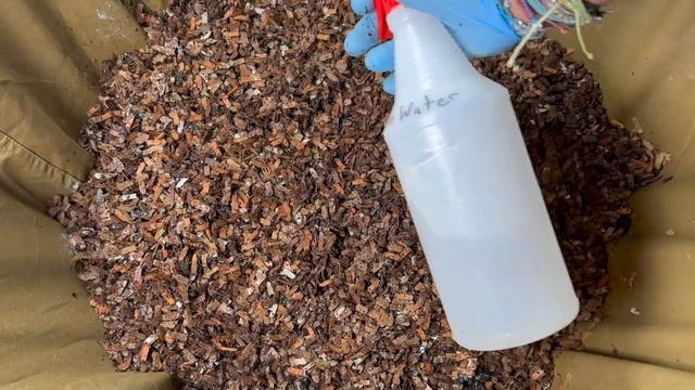 Huge Difference In Worm Bin Moisture Levels!! | Vermicompost Worm Farm смотреть онлайн