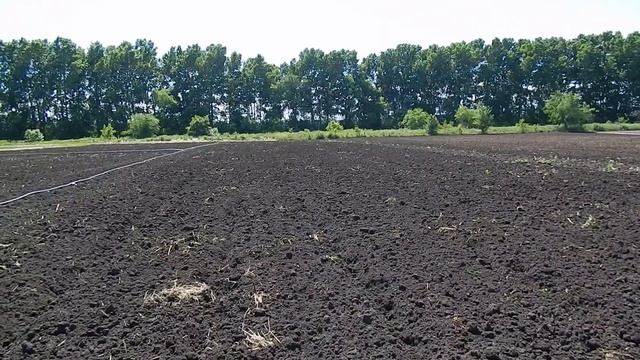 ПОЛИВ КАРТОФЕЛЯ И ДРУГОЕ !!! смотреть онлайн