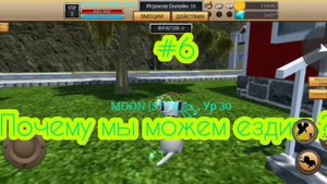 Странная логика cat simulator animal life!-+как забанить игрока!