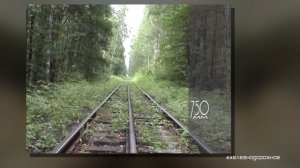 Почему в разных странах различная ширина колеи? История появления рельс. #Железнодорожное - 7 серия