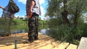 Ловля Карпа на платнике.Клиновка, Крым.