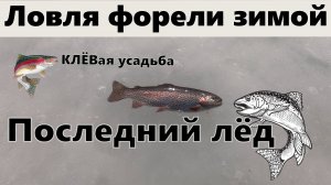 Ловля форели зимой. Последний лёд.