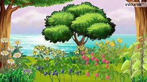 Времена года. Лето