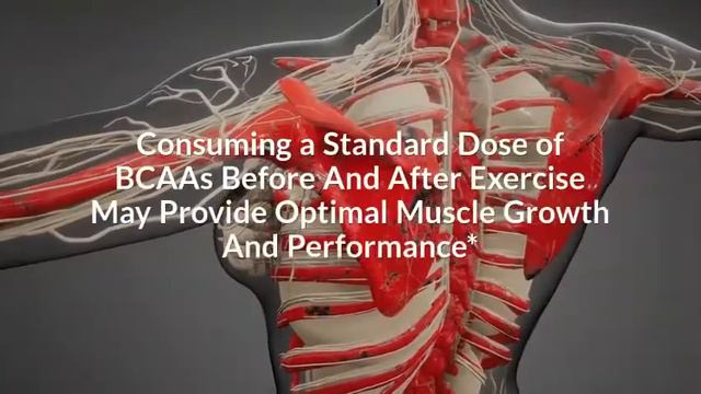 ATP Science BCAA For Boosting Muscle Growth And Performance смотреть онлайн