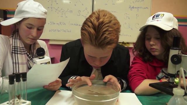 Видеостудия "Интелвидео" при ГБОУ "Школа-интернат "Интеллектуал" (г.Москва) "Плохой, хороший, белый смотреть онлайн