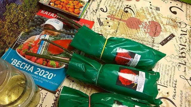 ПОКУПКИ В "САДОВОДЕ". НЕ УДЕРЖАЛАСЬ. смотреть онлайн