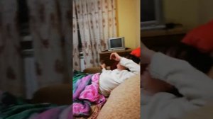 Вызывай милицию)