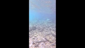 плаваешь спокойно, а тут хрненак из ниоткуда