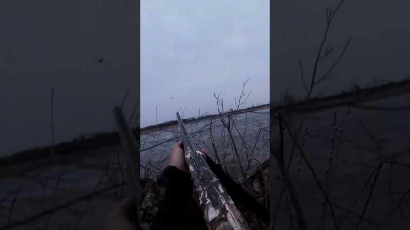 весенняя охота на селезня с подсадными#hunting #hunter #duckhunting #охотавроссии