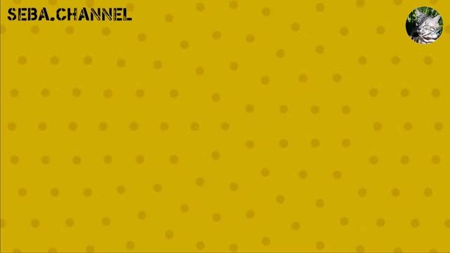 ИГРА ДЛЯ КОШЕК И КОТОВ ➤ НА ВИДЕО МЫШКА БЕГАЕТ ПО ЭКРАНУ И ПИЩИТ