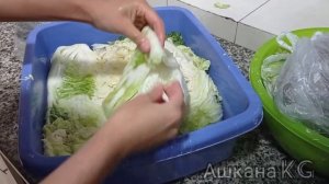 КАПУСТА ПЕКИНСКАЯ ПОЛУОСТРАЯ НА ЗИМУ/КАПУСТА ТУЗДОО/АЧУУ КАПУСТА