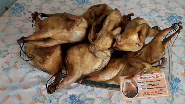 КОПЧЁНЫЕ ПЕРЕПЕЛА. Альбинос техасский Стандарт самый крупный из мясных пород.