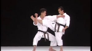 Bassai-dai bunkai Sitei kata Shito-ryu karate