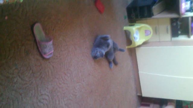 Дети которые остались одни. смотреть онлайн