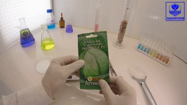 Капуста белокочанная Экспресс. Артикул смотреть онлайн