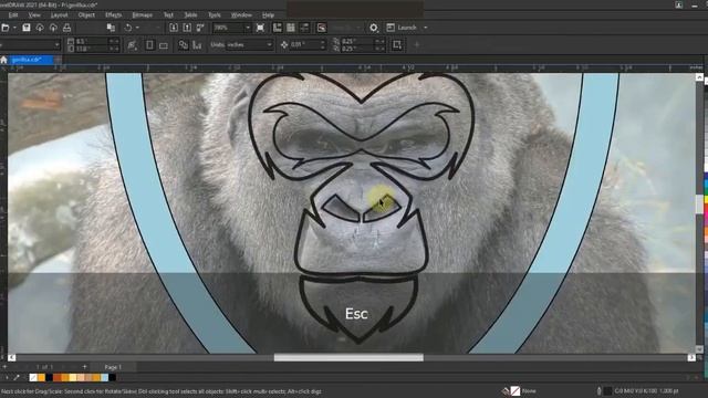 Monkey King Mascot Logo Design Tutorial - Best Tips & Tricks for Beginners & Experts - Coreldraw202 смотреть онлайн