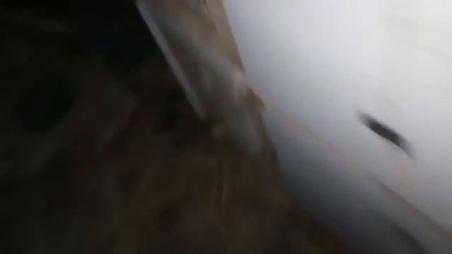 Первакролка родила крольчат породы ризен смотреть онлайн