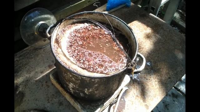 Чем кормить месячных цыплят? Мешка из гречи. смотреть онлайн