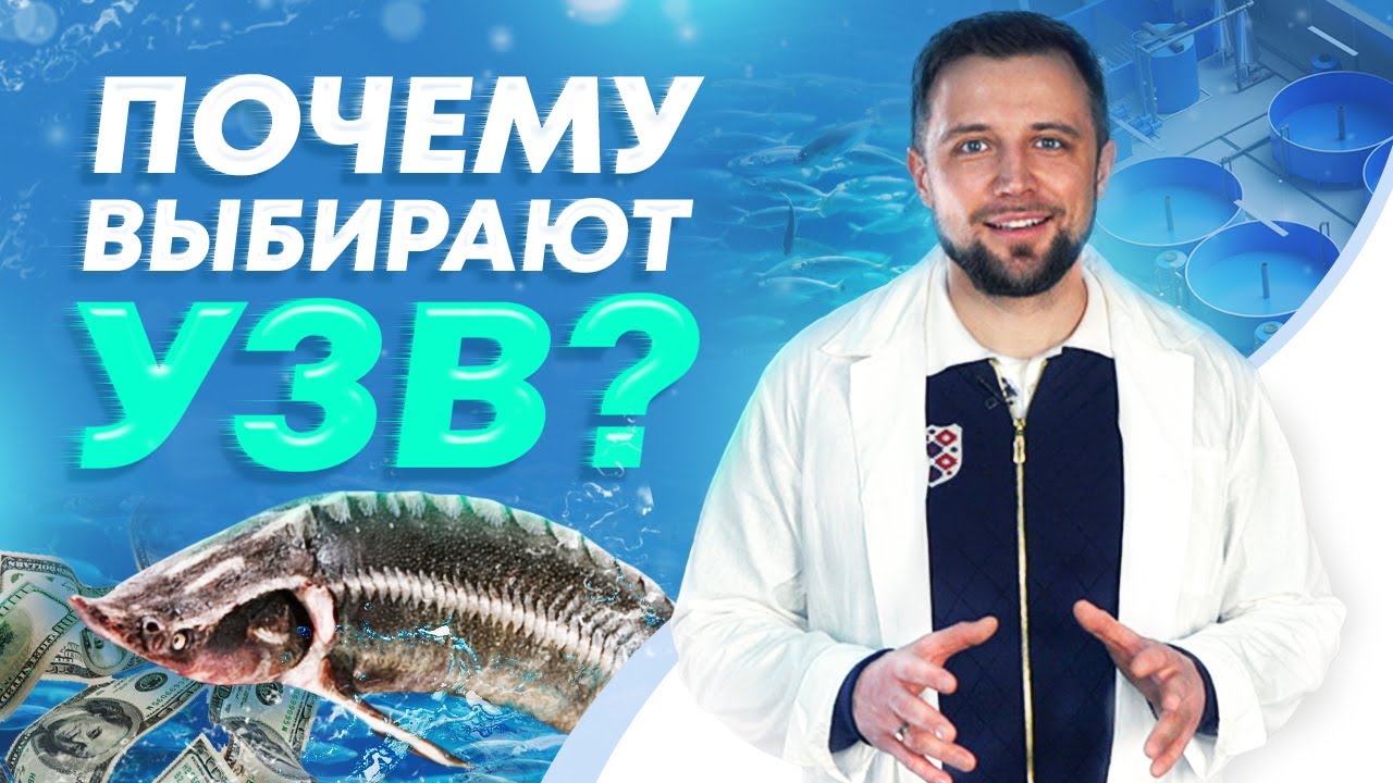 ТОП 10 причин заняться ВЫРАЩИВАНИЕМ РЫБЫ в УЗВ, а не в пруду! РЫБОВОДНЫЙ БИЗНЕС