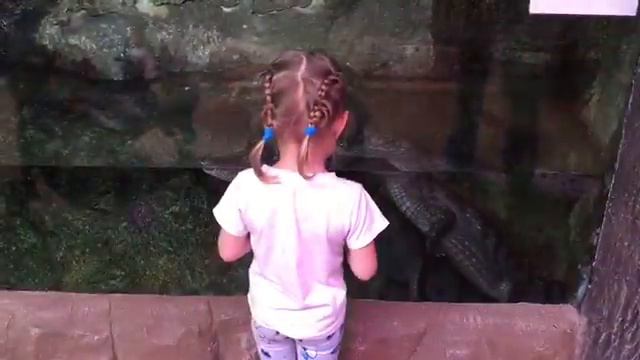 Экзоопарк смотреть онлайн