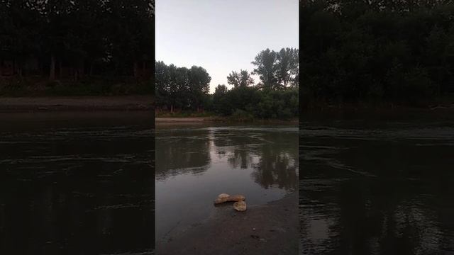 Внук ловит форель в реке Лаба! смотреть онлайн