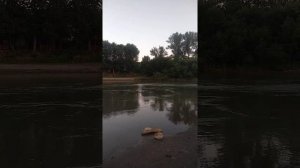 Внук ловит форель в реке Лаба!