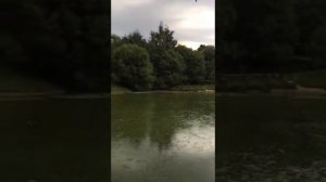 Троицкий пруд (остаток каскадных прудов усадьбы Толочановых 17 век) Москва. Коньково.