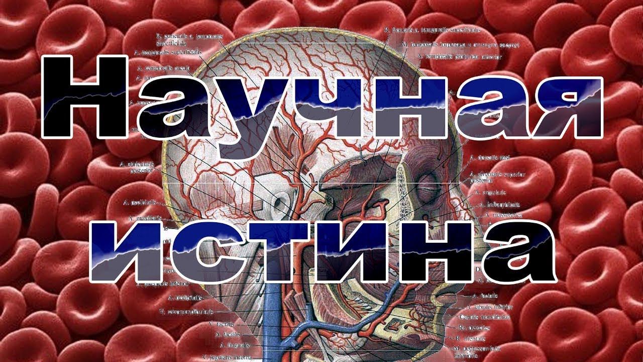 Тайна крови. смотреть онлайн