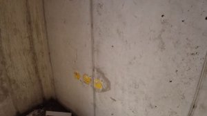 Строительство монолитного , бетонного дома. двухэтажный частный дом