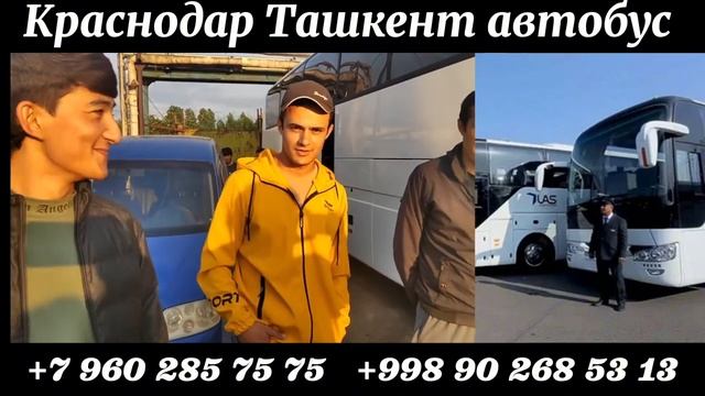 Краснодар Ташкент автобус, Сочи Ташкент Анапа Ташкент Мариуполь Ташкент Новороссийск Ташкент автобу