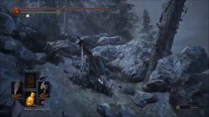 Dark Souls 3 | DLC Ashes of Ariandel [#3 - Путь к часовне Арианделя]