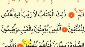 АЛИФ ЛАМ МИМ дуоси