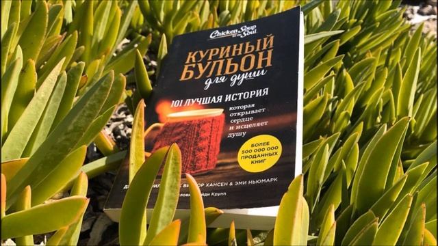 Куриный бульон для души/101 лучшая история/Читаем вслух/ Слушай со мной смотреть онлайн