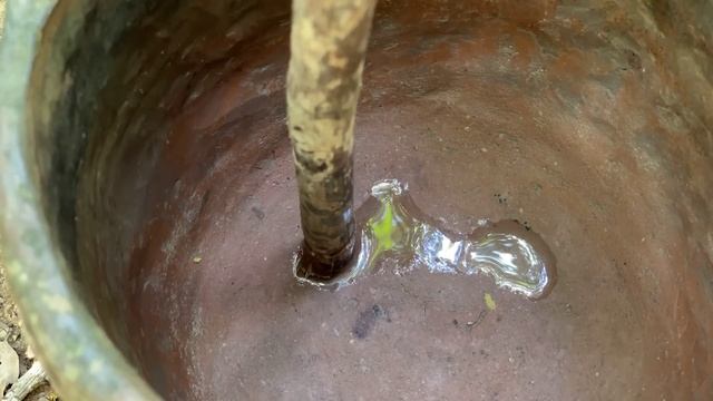 Примитивная технология Тростникового фильтра для воды Сифон