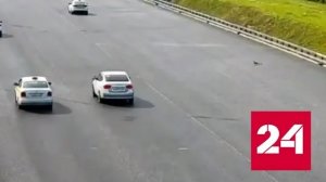 Утки спровоцировали массовую аварию на МКАД - Россия 24 
