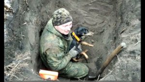 Нора залезла в Нору. Откопал собаку живой спустя 5 дней.