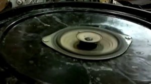 Колонка из Бочки и динамика)))) своими руками