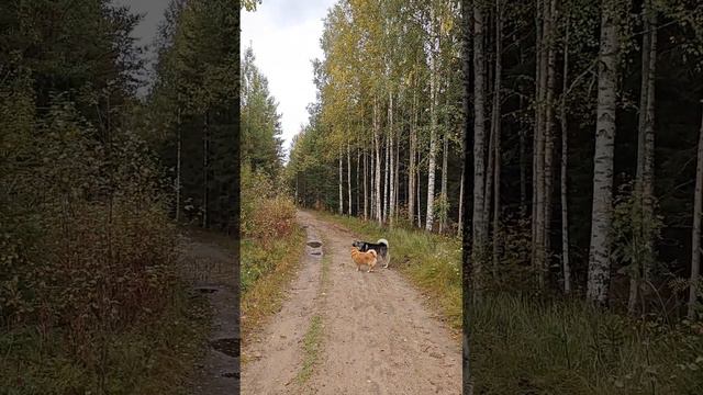 Выучить желание быть единственным и самым любимым... смотреть онлайн