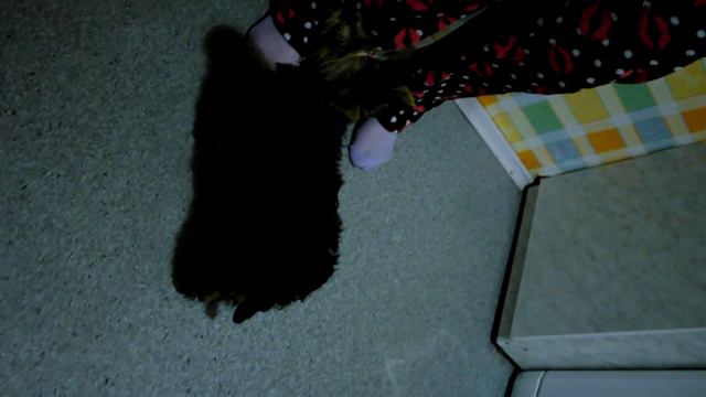 Габи 4,5 месяцев смотреть онлайн