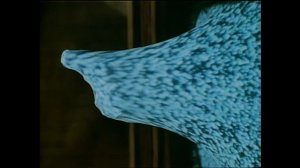 Videodrome (1983)