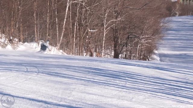 2024 Salomon Stance 96 Ski Review with SkiEssentials.com смотреть онлайн