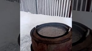 Чудо печка. На чём мы варим свиньям