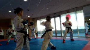 Тренировка кумитэ