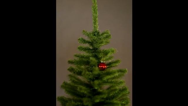 Искусственная елка "Московская" 1.8 м смотреть онлайн